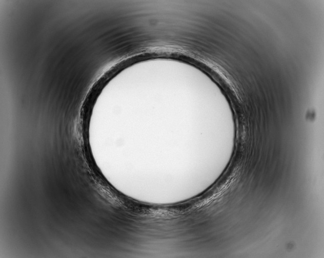 X0000103411022200810100951