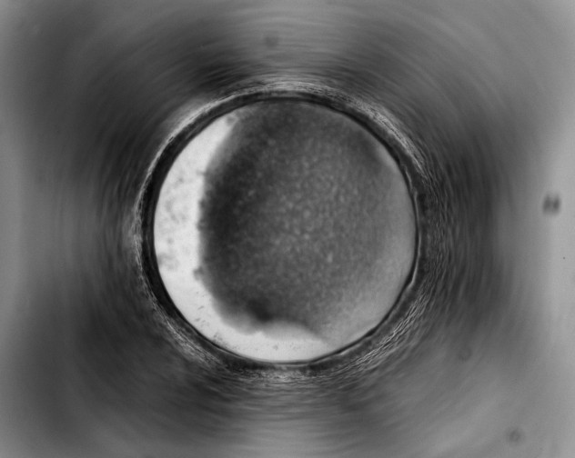 X0000103411024200810100951