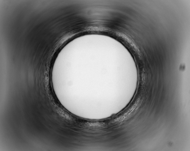 X0000103411025200810100951