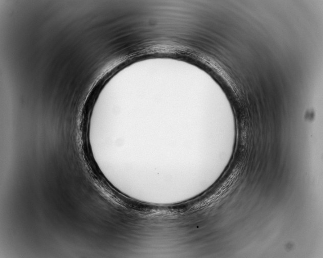 X0000103411026200810100951