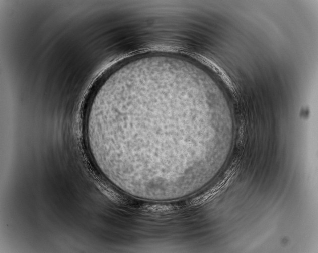 X0000103411027200810100951