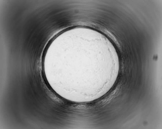 X0000103411028200810100951