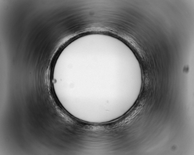 X0000103411030200810100951