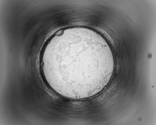 X0000103411031200810100951