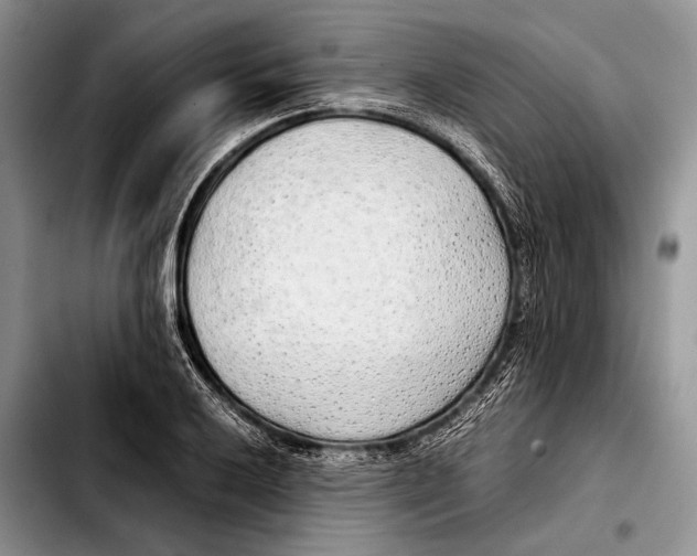 X0000103411032200810100951