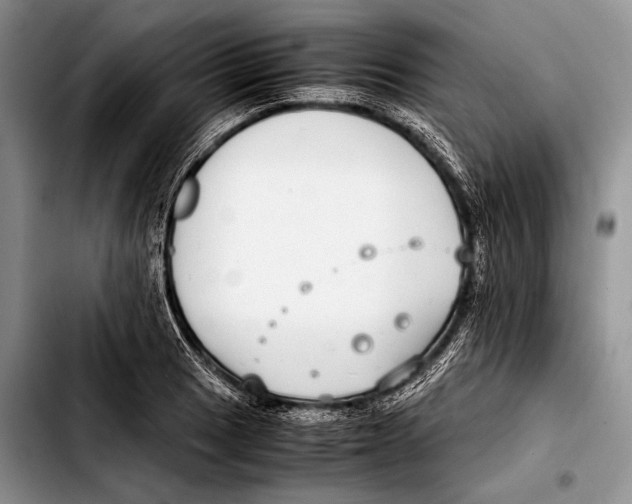 X0000103411033200810100951