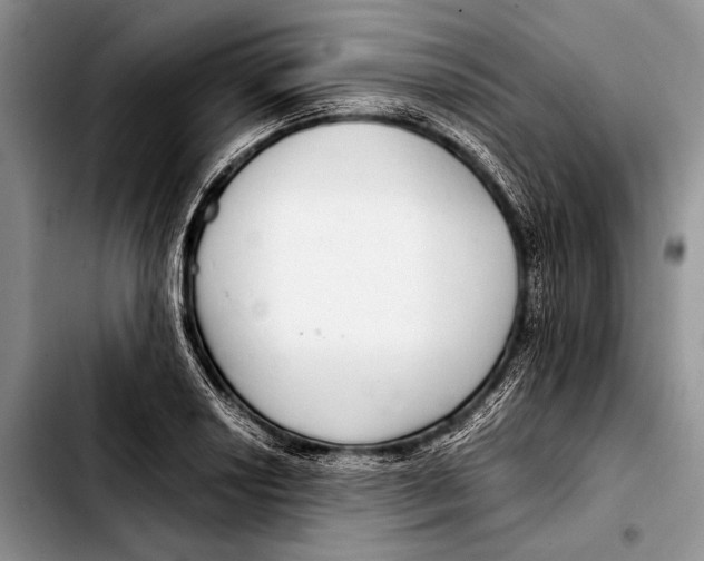 X0000103411034200810100951