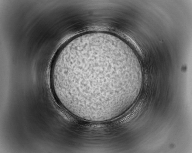 X0000103411035200810100952