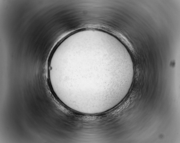 X0000103411036200810100952