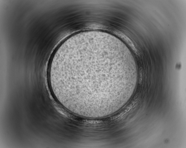 X0000103411039200810100952