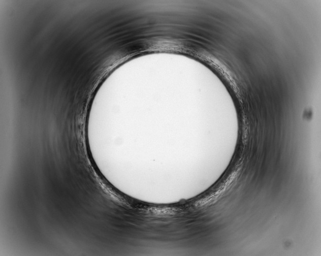 X0000103411041200810100952