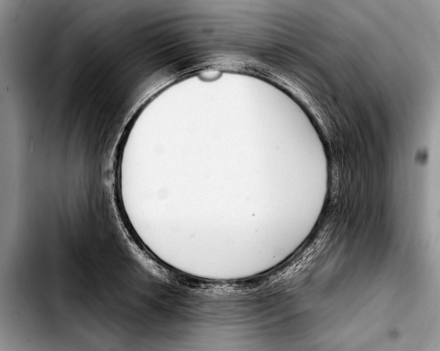 X0000103411042200810100952