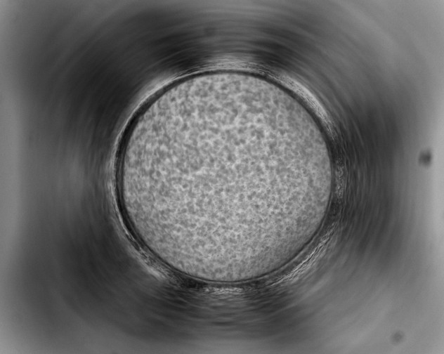 X0000103411043200810100952