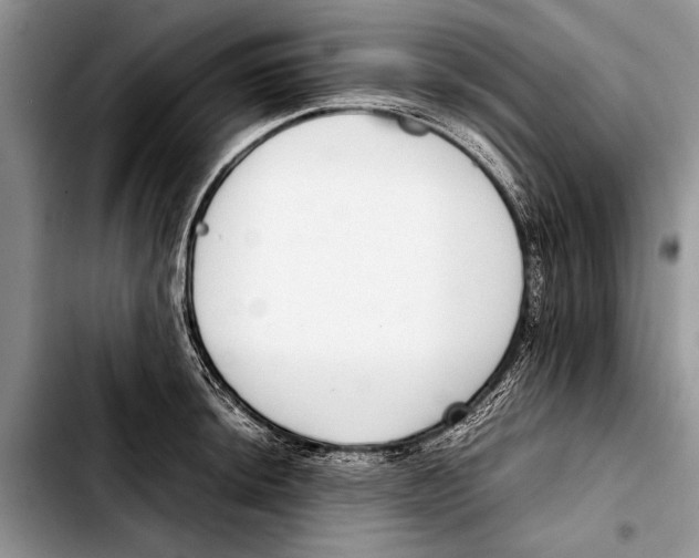 X0000103411044200810100952