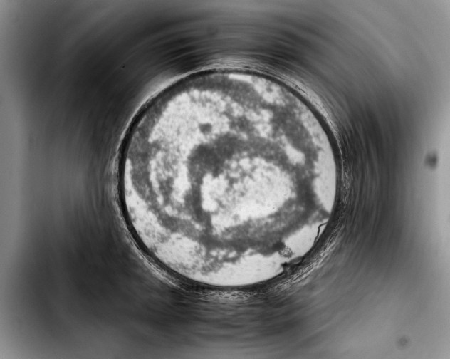 X0000103411045200810100952