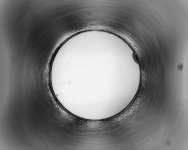 X0000103411046200810100952