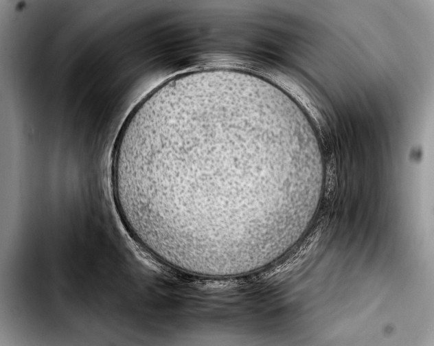 X0000103411047200810100952