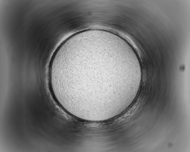 X0000103411048200810100952