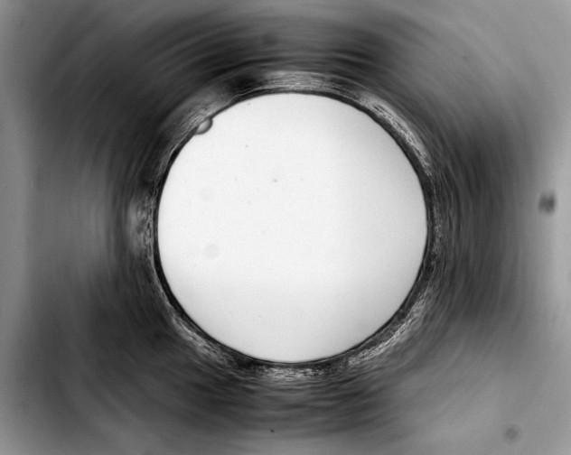 X0000103411049200810100952