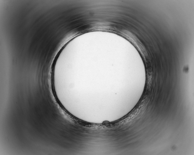 X0000103411050200810100952