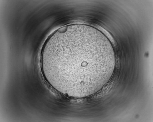 X0000103411051200810100952