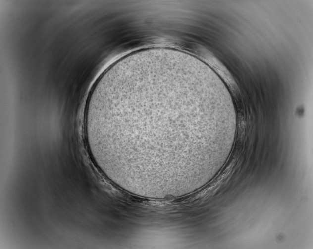 X0000103411052200810100952