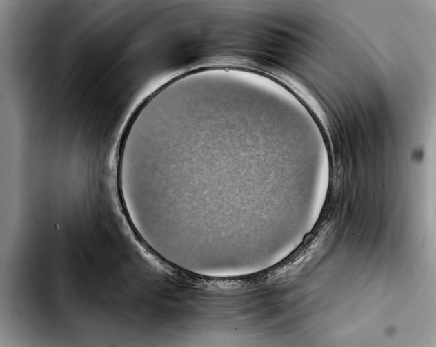 X0000103411053200810100952