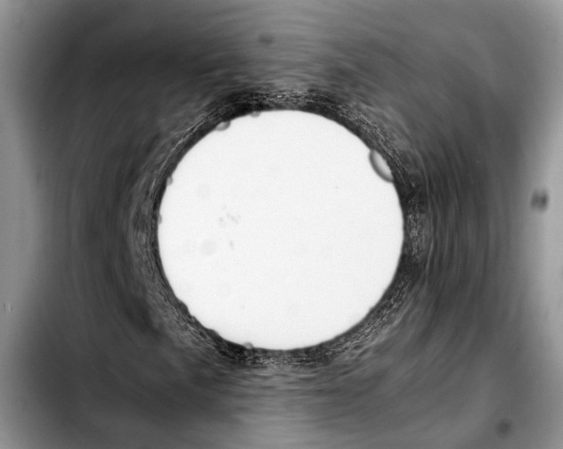 X0000103411057200810100951