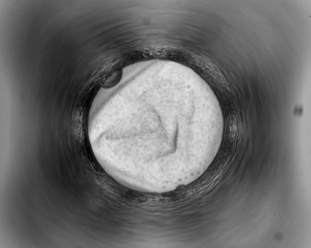 X0000103411060200810100951