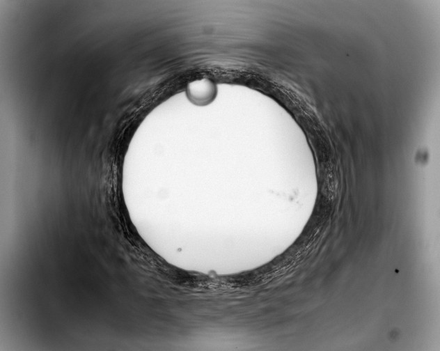 X0000103411061200810100951