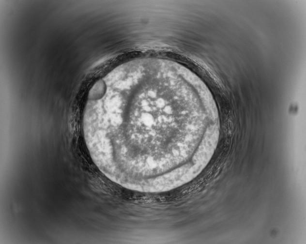 X0000103411063200810100951