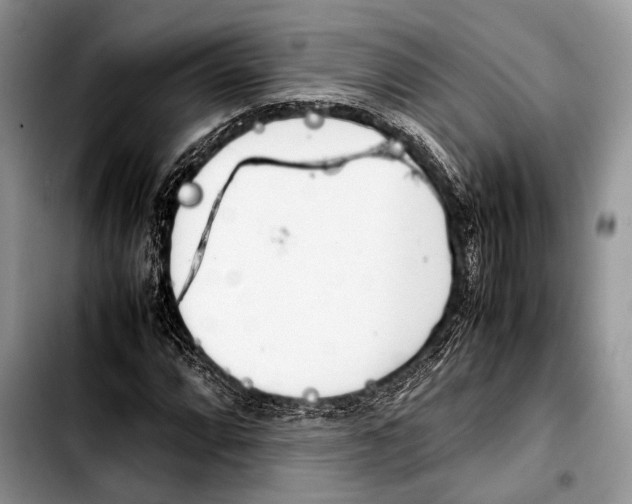 X0000103411064200810100951