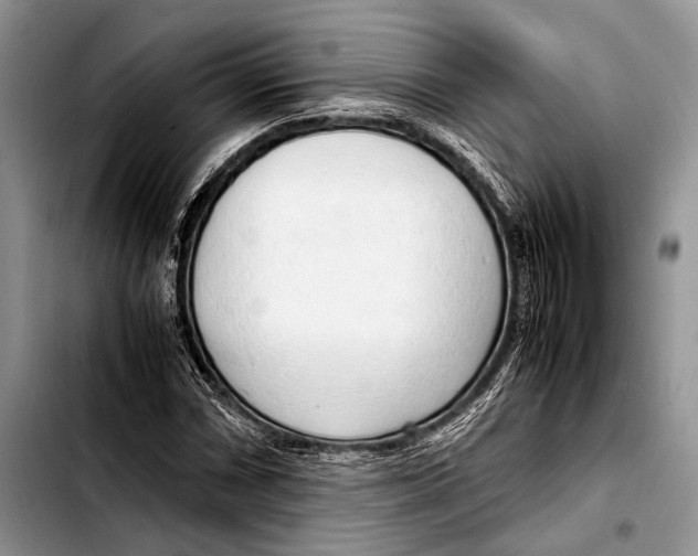 X0000103411066200810100951