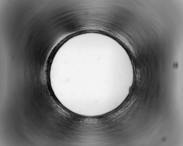 X0000103411068200810100951