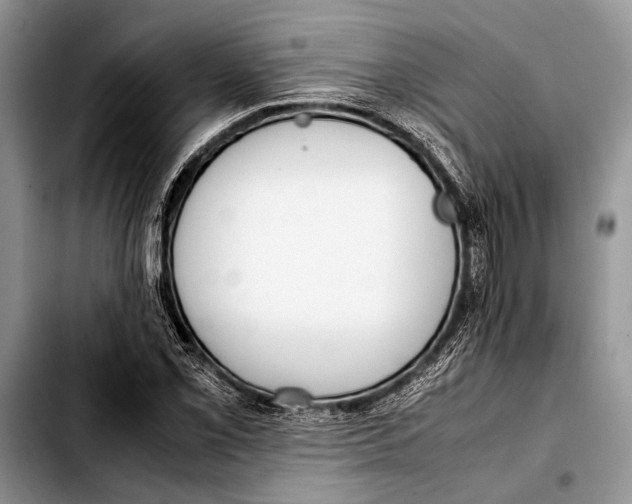 X0000103411069200810100951