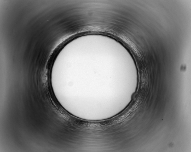 X0000103411070200810100951