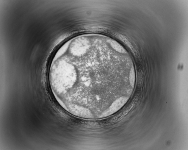 X0000103411071200810100951