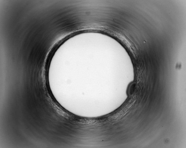 X0000103411072200810100951