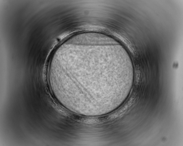 X0000103411074200810100951