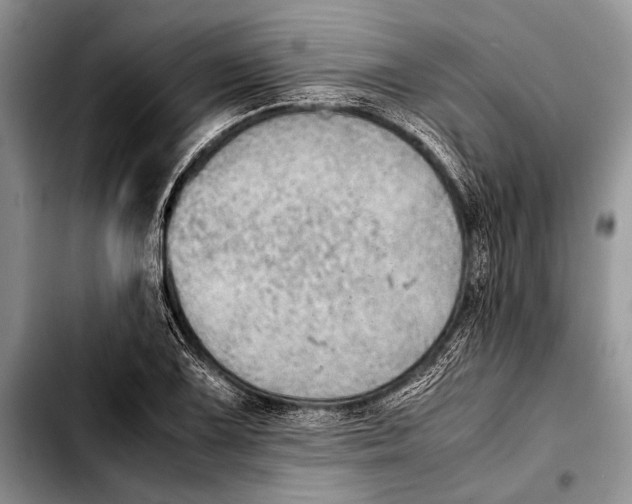 X0000103411075200810100951