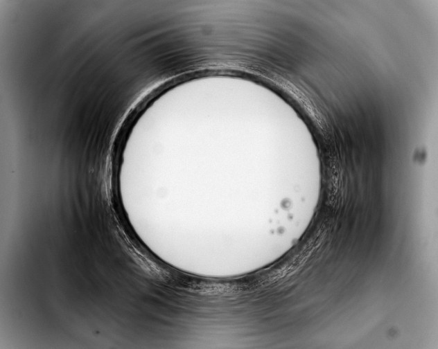 X0000103411076200810100951