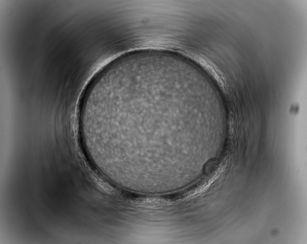 X0000103411077200810100951