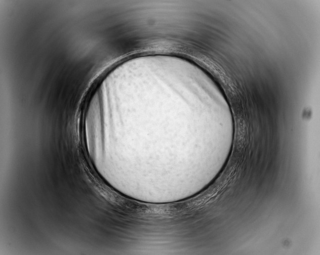 X0000103411078200810100951