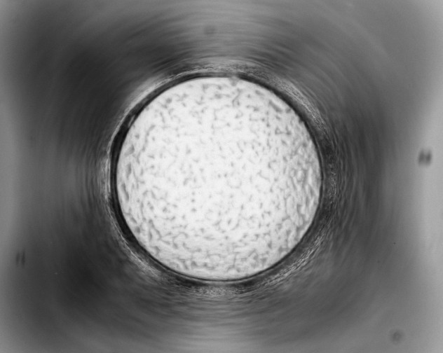 X0000103411079200810100951