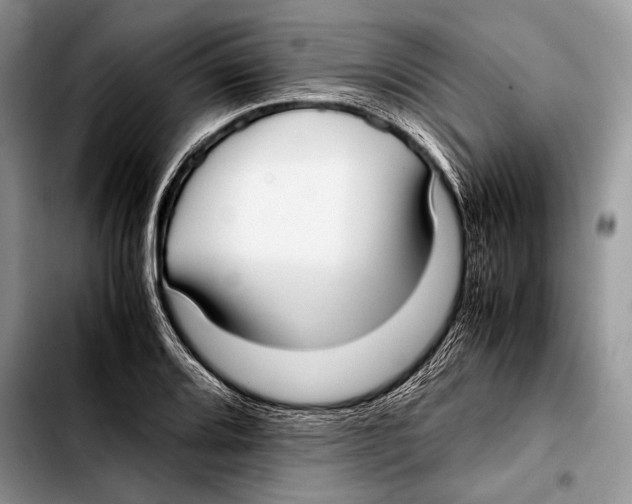 X0000103411080200810100951