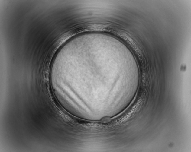 X0000103411081200810100951