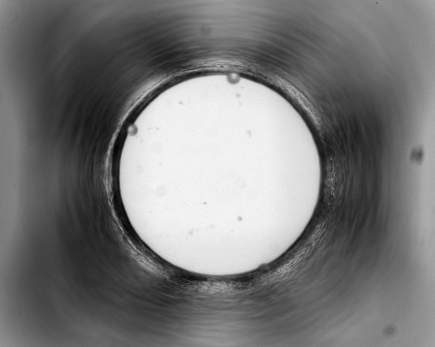 X0000103411082200810100951