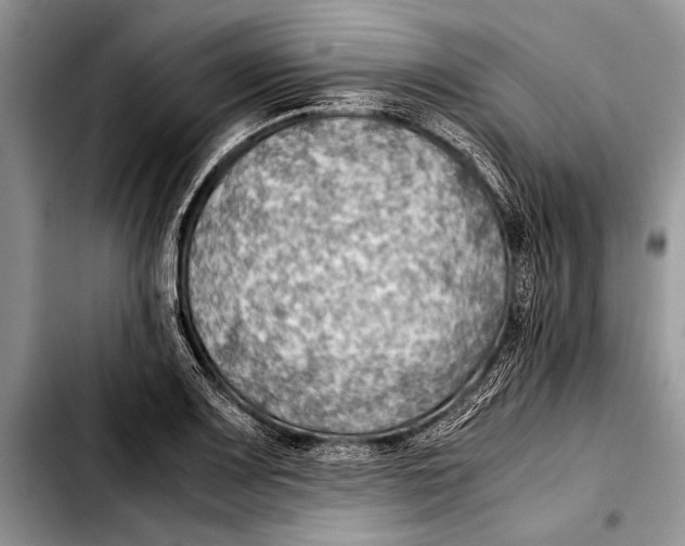 X0000103411083200810100951