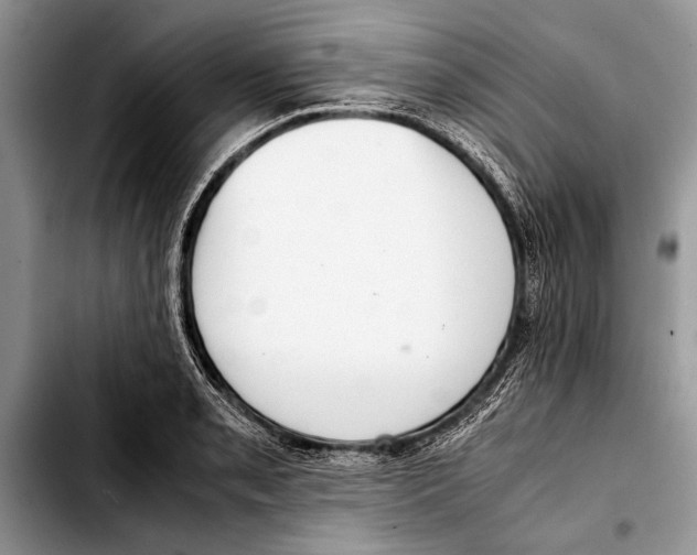 X0000103411085200810100951