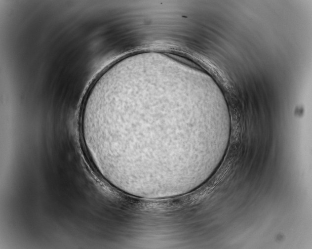 X0000103411086200810100951